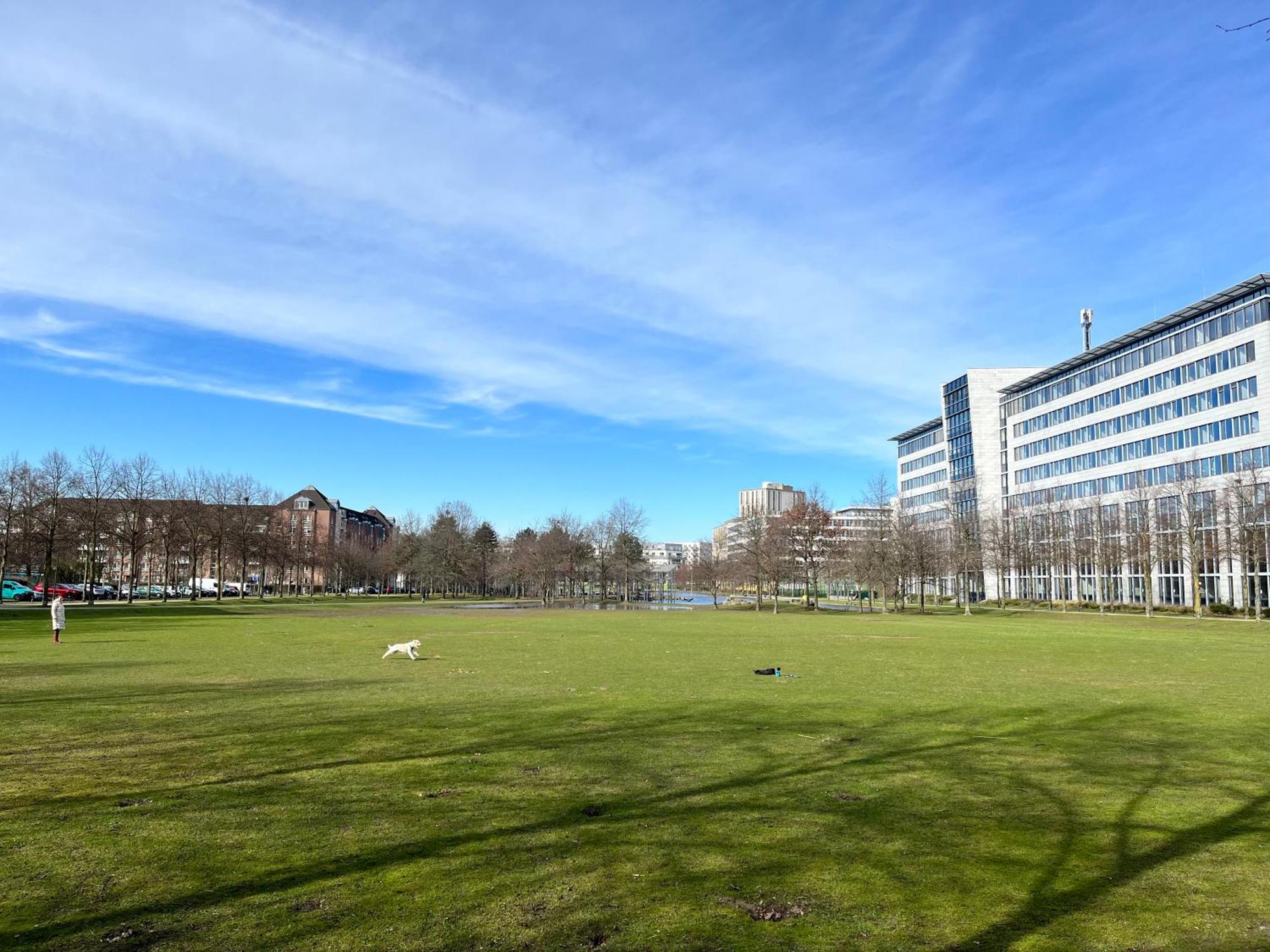 Separate Privat In Shared With 2 Cats And 1 Person *