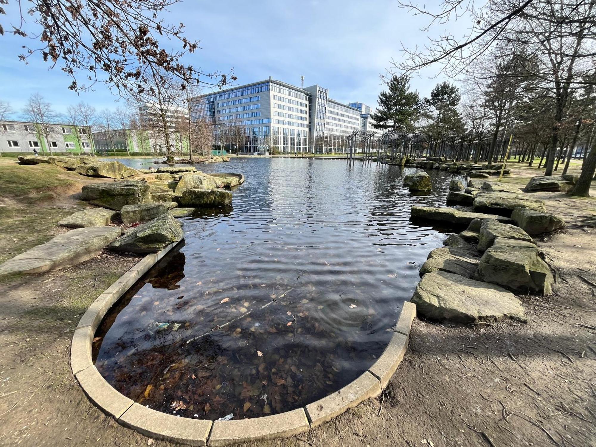 Separate Privat In Shared With 2 Cats And 1 Person *